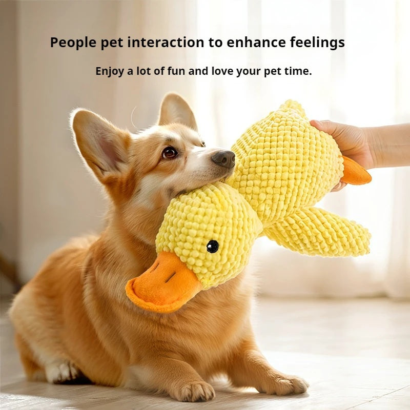 Dog Calming Duck