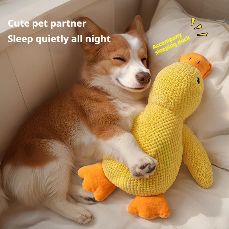 Dog Calming Duck