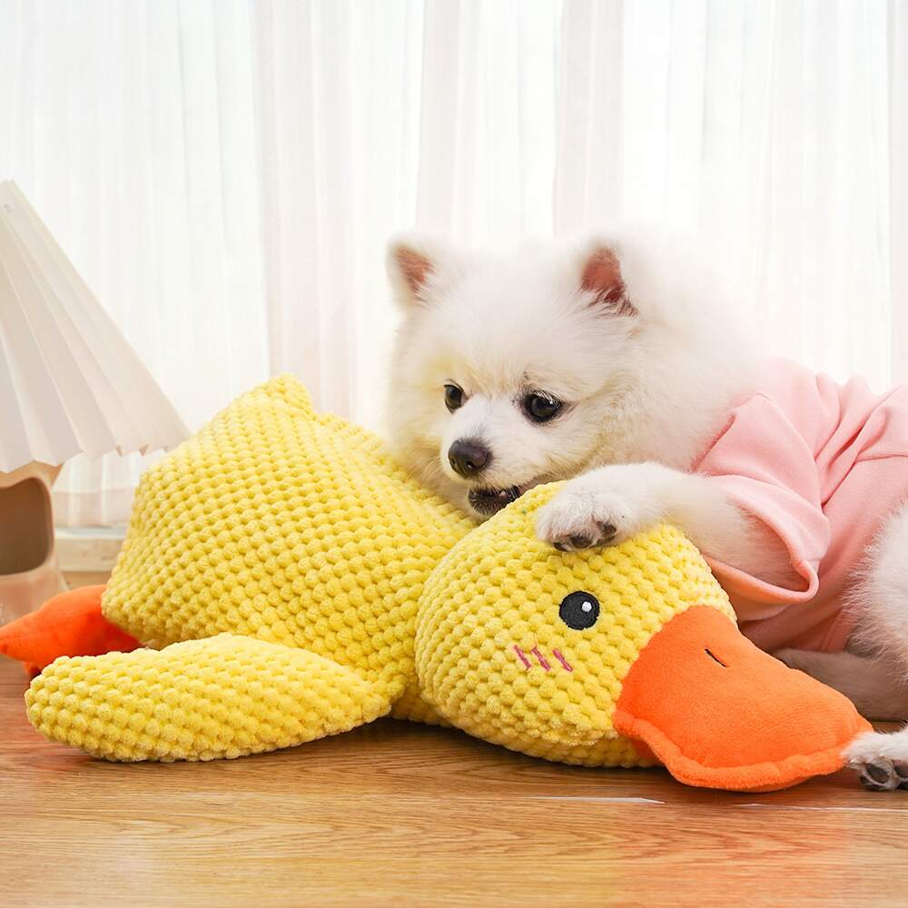Dog Calming Duck