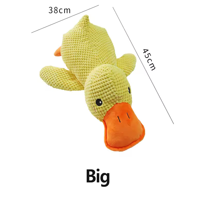 Dog Calming Duck