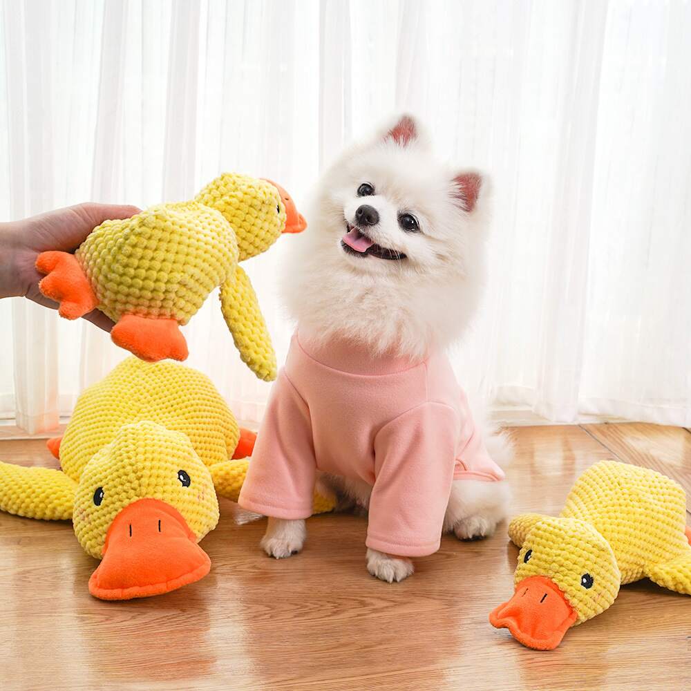 Dog Calming Duck