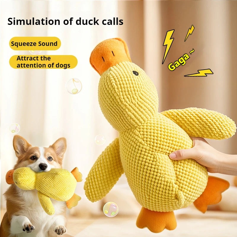 Dog Calming Duck